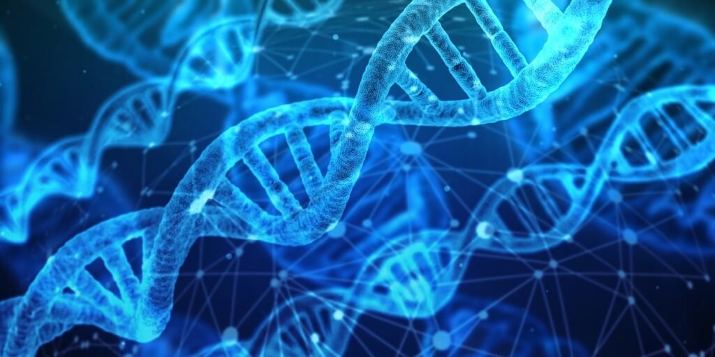 genes producen proteinas