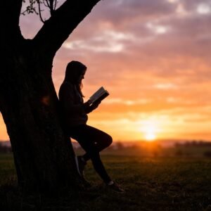 Plan Básico de Lectura Estratégica